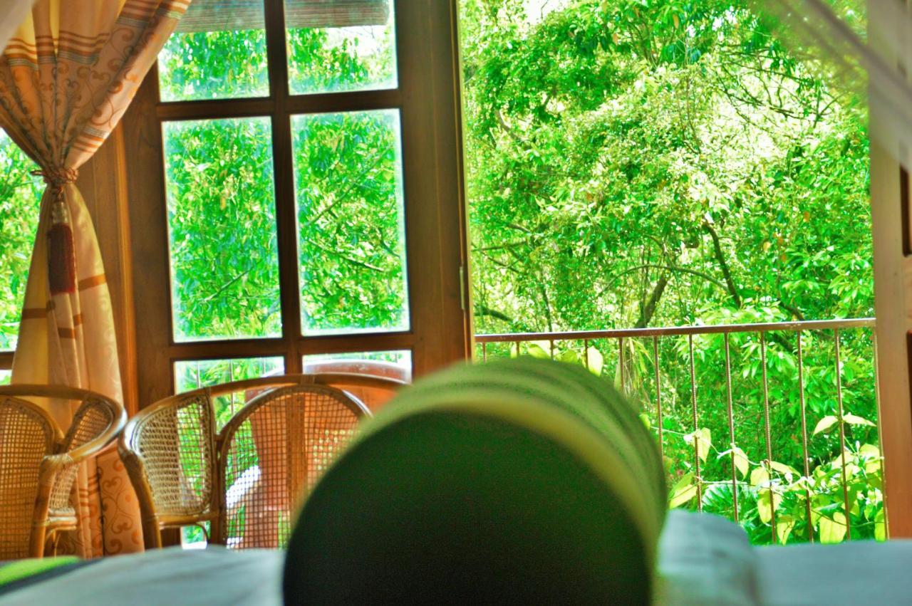Green Cottage Ела Екстериор снимка