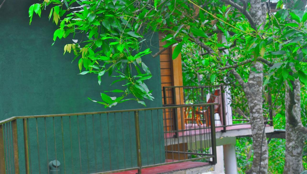 Green Cottage Ела Екстериор снимка