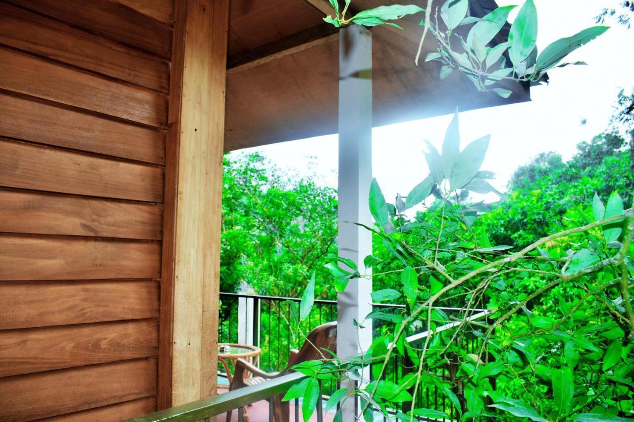 Green Cottage Ела Екстериор снимка