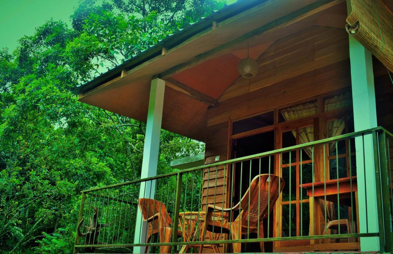 Green Cottage Ела Екстериор снимка